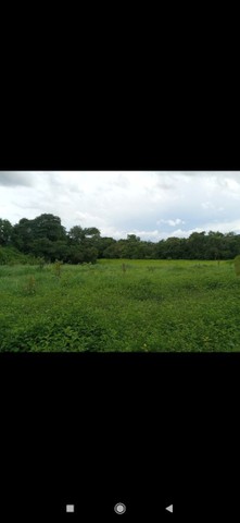 Terreno 4 hectares em buritis mg  - Foto 2
