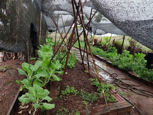 Vendo sítio em Santa Lúcia  - Foto 11