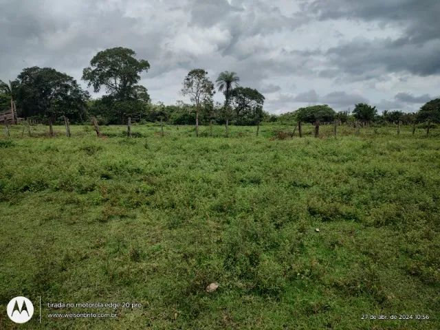 Fazenda em Matoes do Norte do Maranhão - Foto 3