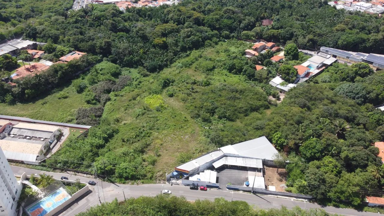 Terreno | Alto do Calhau | Cohafuma | + de 40 mil m² | Praia | Daniel Meneses - Foto 2
