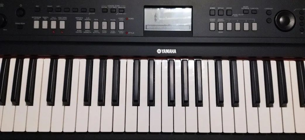 Piano Digital e arranjador Yamaha Piaggero NP V60 76 teclas. Leia