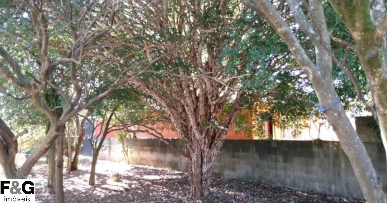 TERRENO RESIDENCIAL em Santo André - SP, Vila Alzira - Foto 2