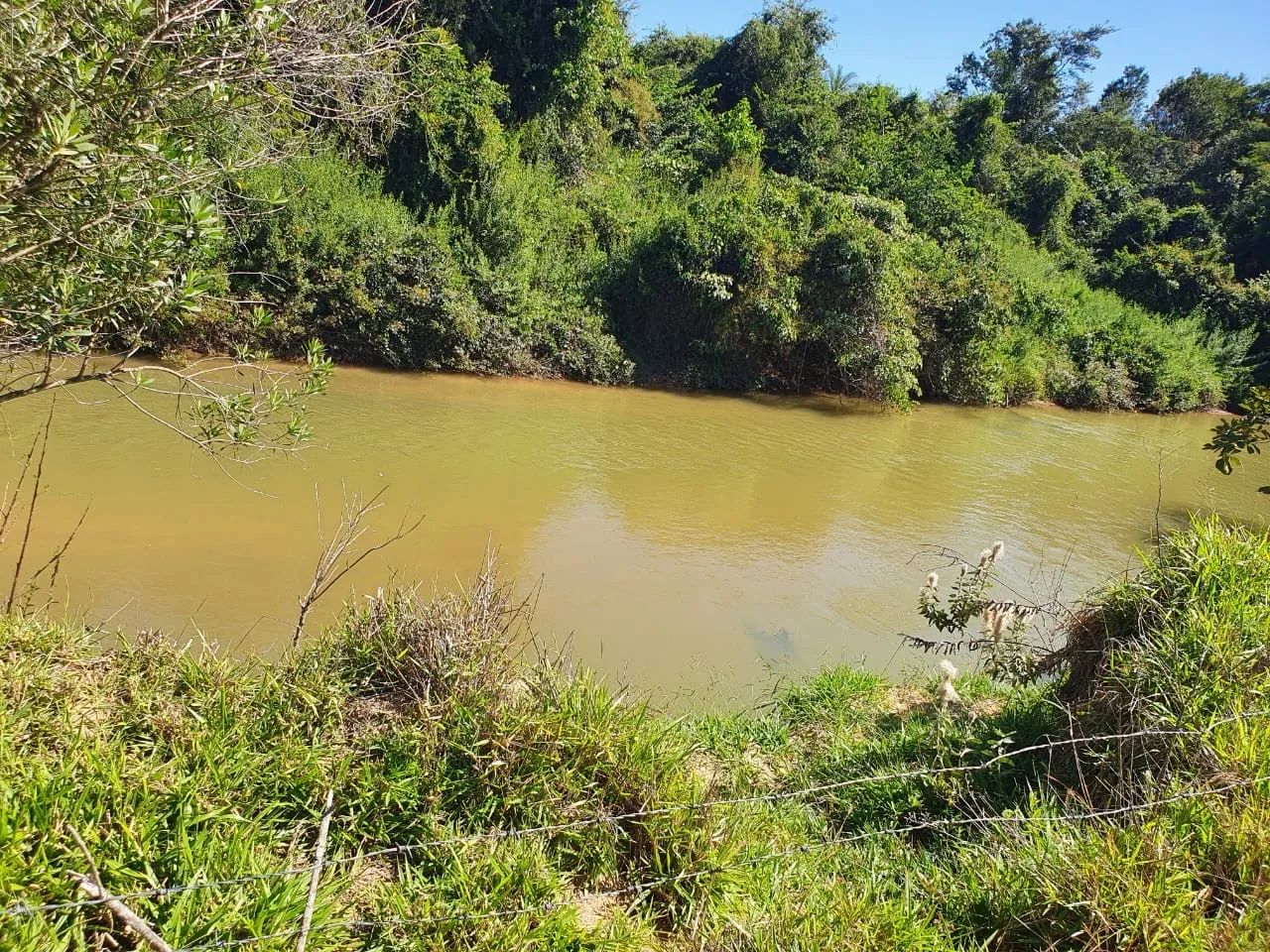 Fazenda dupla aptidão boa pra café ?  - Foto 3