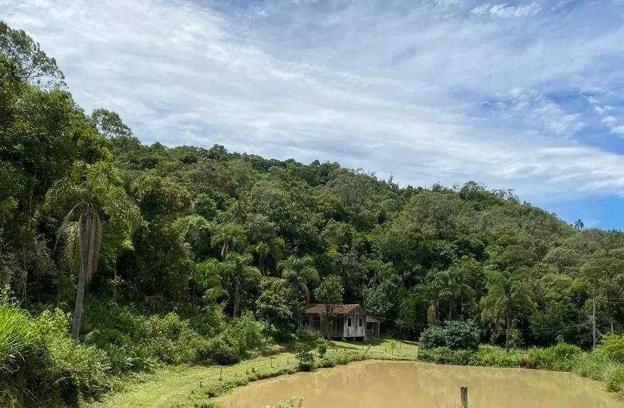 Sítio / Terreno à Venda em Anitápolis com 112.595,97m². - Foto 3