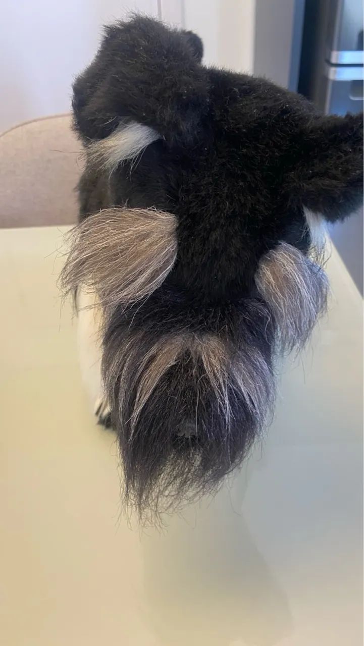  Schnauzer 45/30cm - Foto 4