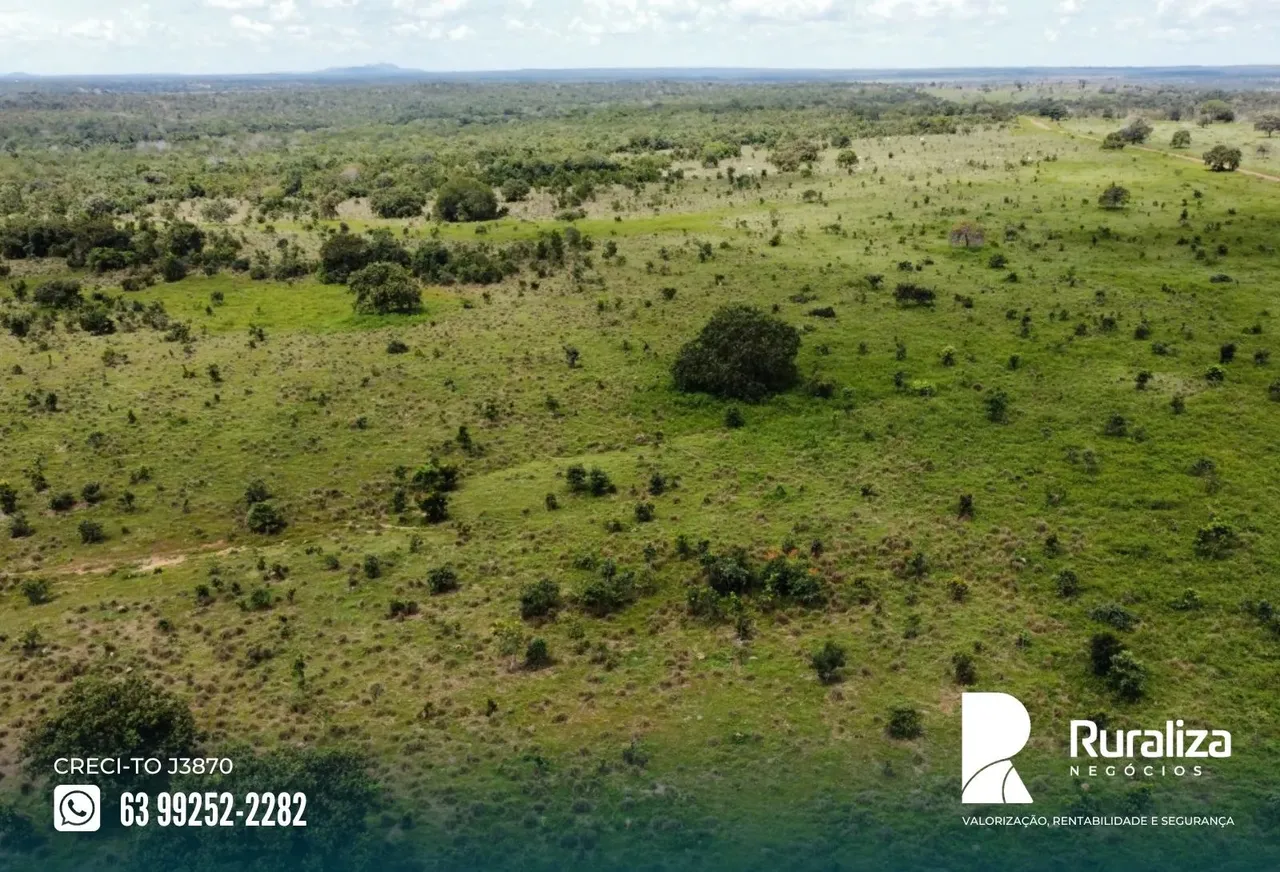 Arrendamento de 600,00 hectares em Cristalândia TO composta por duas áreas destintas.
