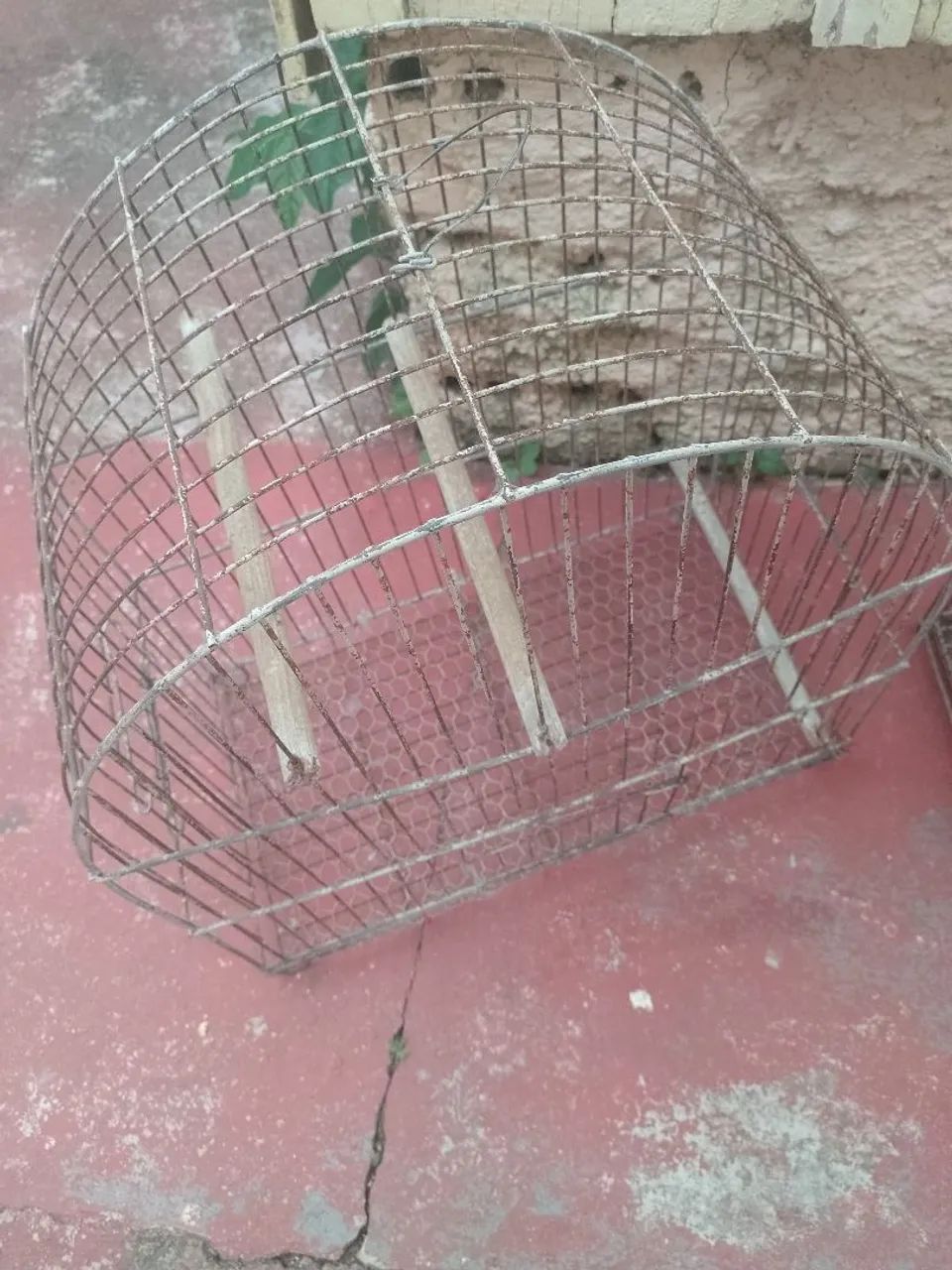 Gaiolas para pássaros - Foto 4