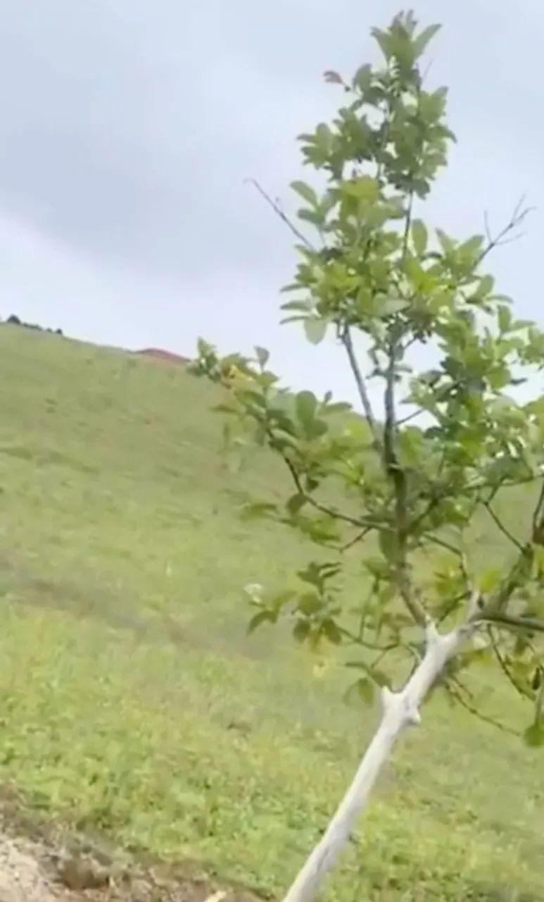 He Aceitamos ofertas! 826m² com casa! - Foto 10