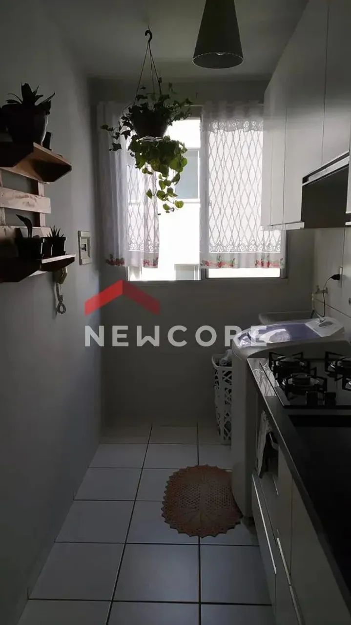 Apartamento em Rua da Águia-imperial - Paraíso - Londrina/PR - Foto 4