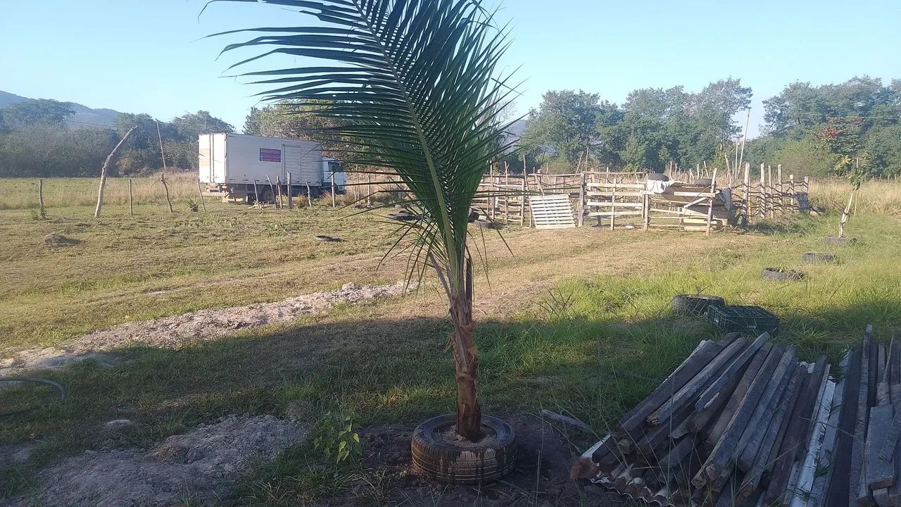 Vendo sitio em nova Iguaçu! - Foto 3