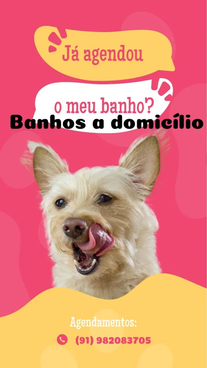 Banho a domicílio 