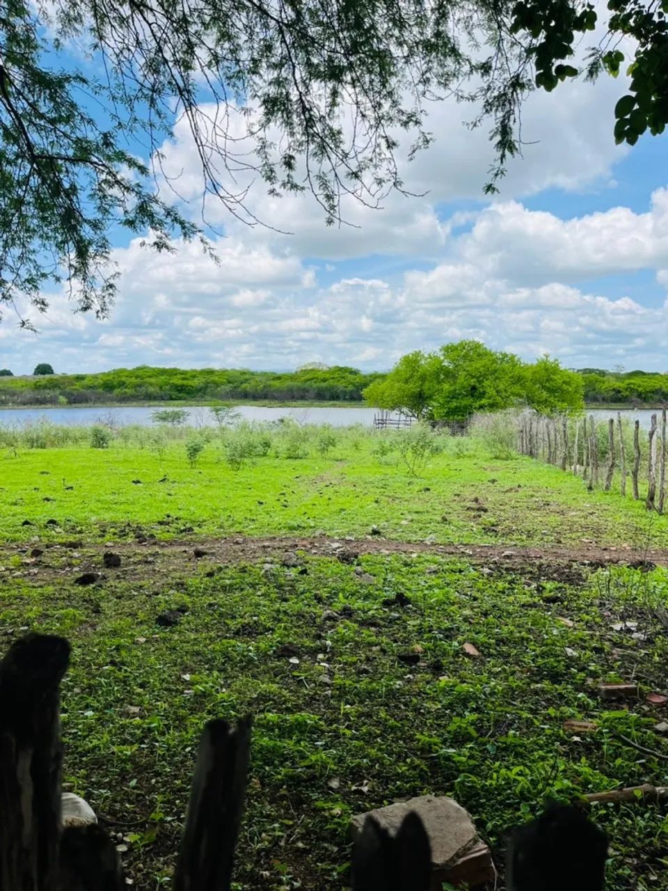 FAZENDA PARAISO QUIXADÁ