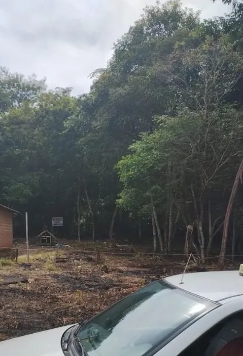 Vende ou Troca Terreno Praia do Pindobal PA  - Foto 3