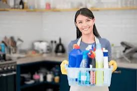 Auxiliar de serviços gerais - campeche 