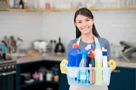 Auxiliar de serviços gerais - campeche 