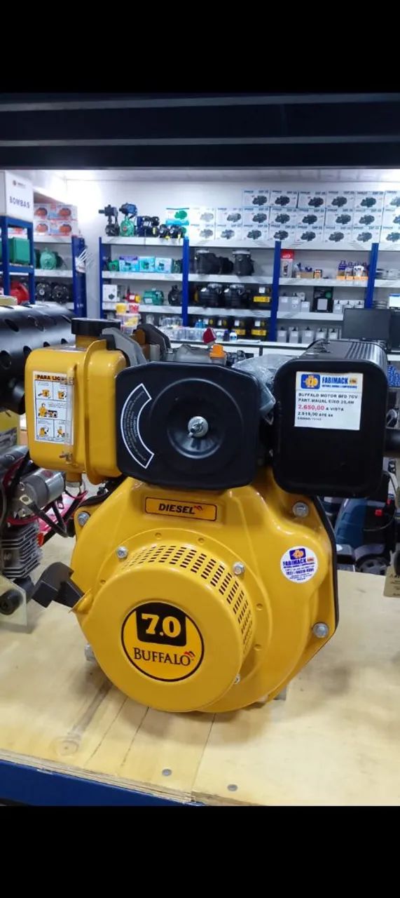 MOTOR A DIESEL 7CV P/MANUAL BUFFALO - Foto 2