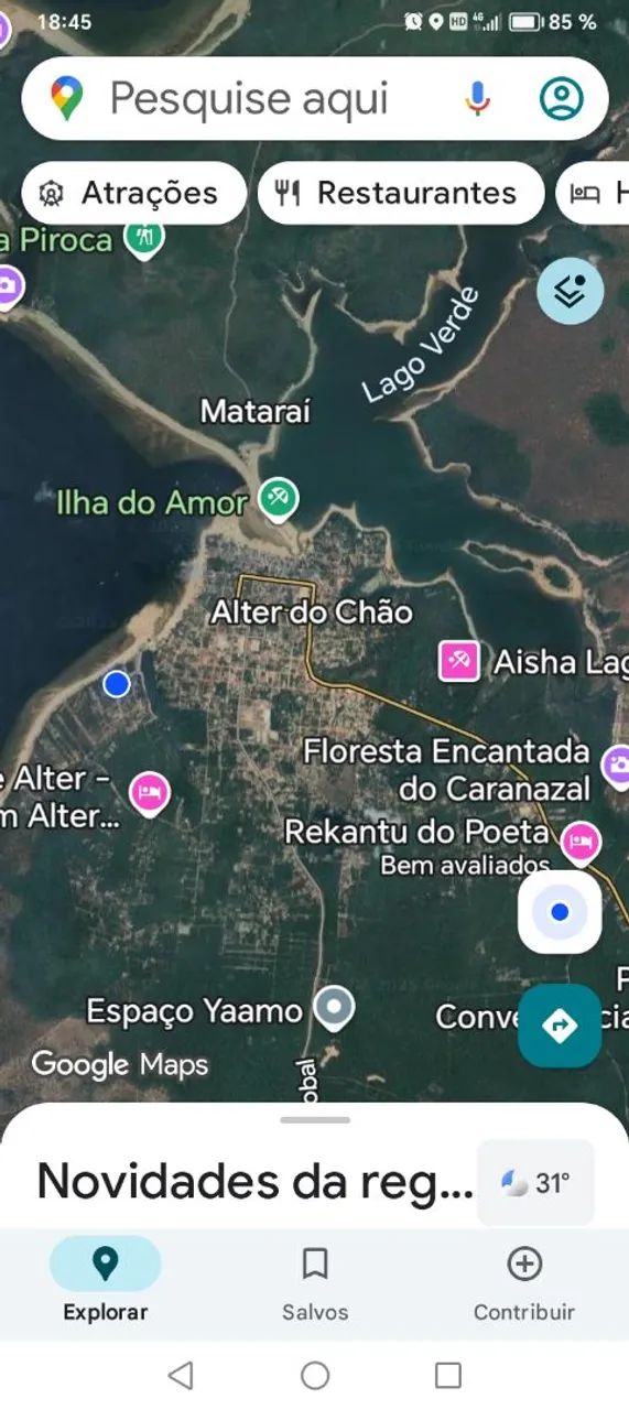 Foto - Santarém - Floresta