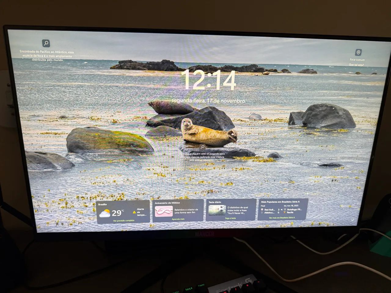 Monitor mancer  - Foto 3