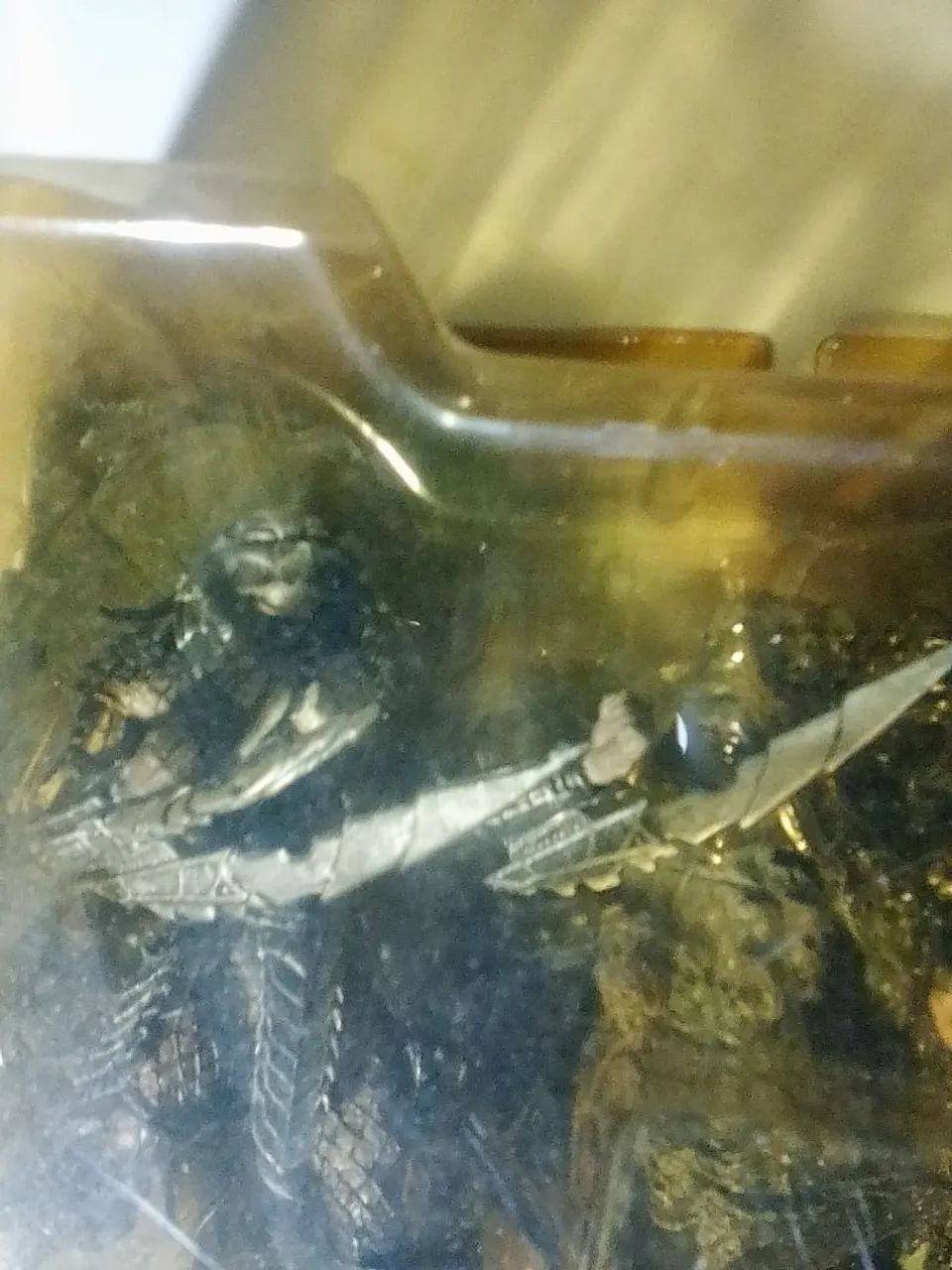 Miniatura predator AVP alien versus predator mcpharlayne original raro  - Foto 3
