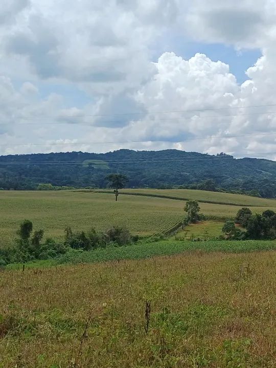 Adquira seu terreno agora. Ideal para construir a casa dos seus sonhos! - Foto 2