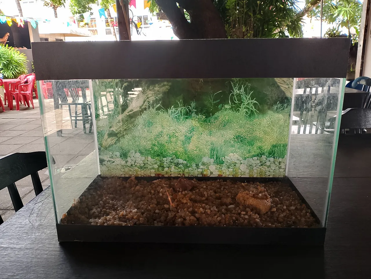 Aquário para Peixes
