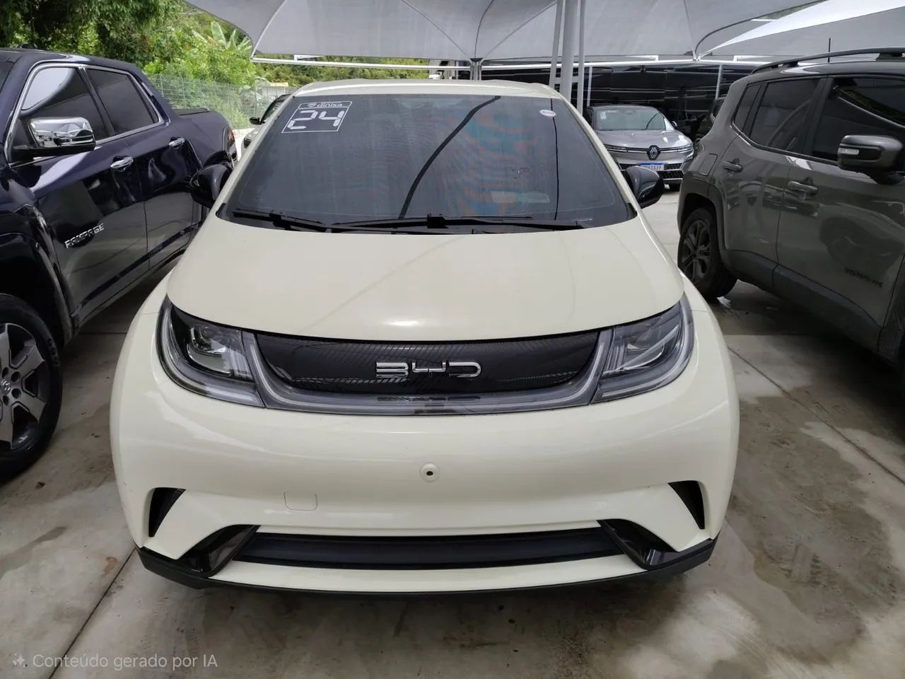 BYD Dolphin EV (Elétrico) 2024 - Foto 2