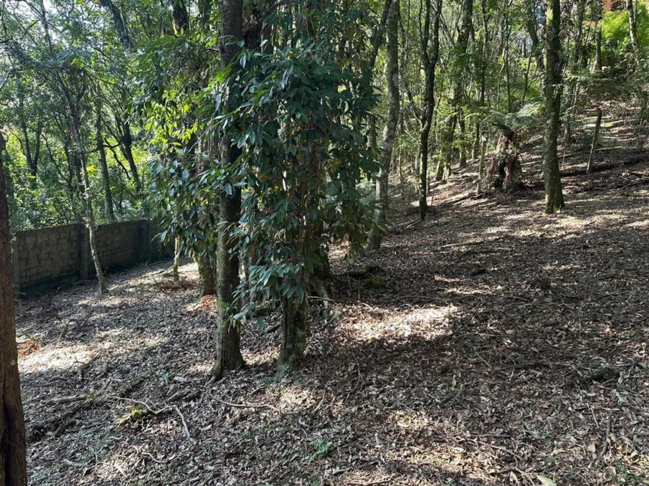Terreno - Bairro Centro - Foto 2