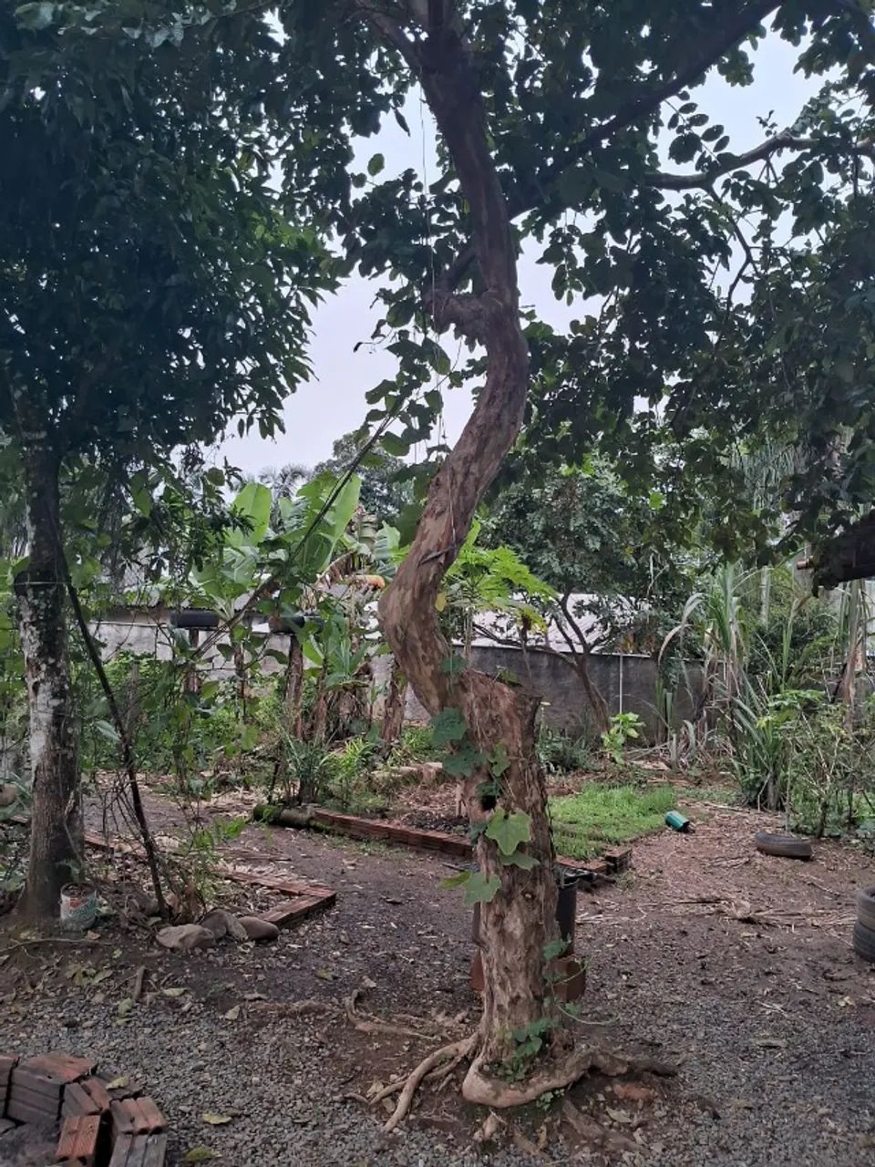 Casa de alvenaria à venda em Pirabeiraba - Joinville/SC - Foto 12