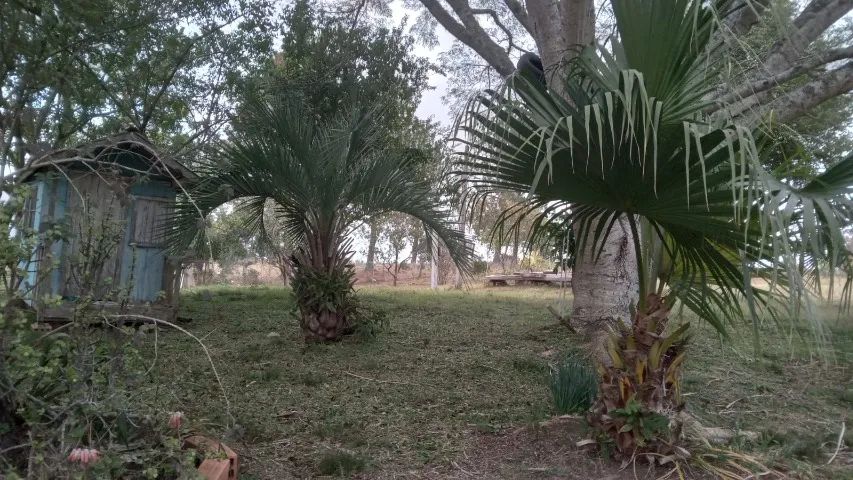 Chácara no interior de Cerrito  - Foto 4