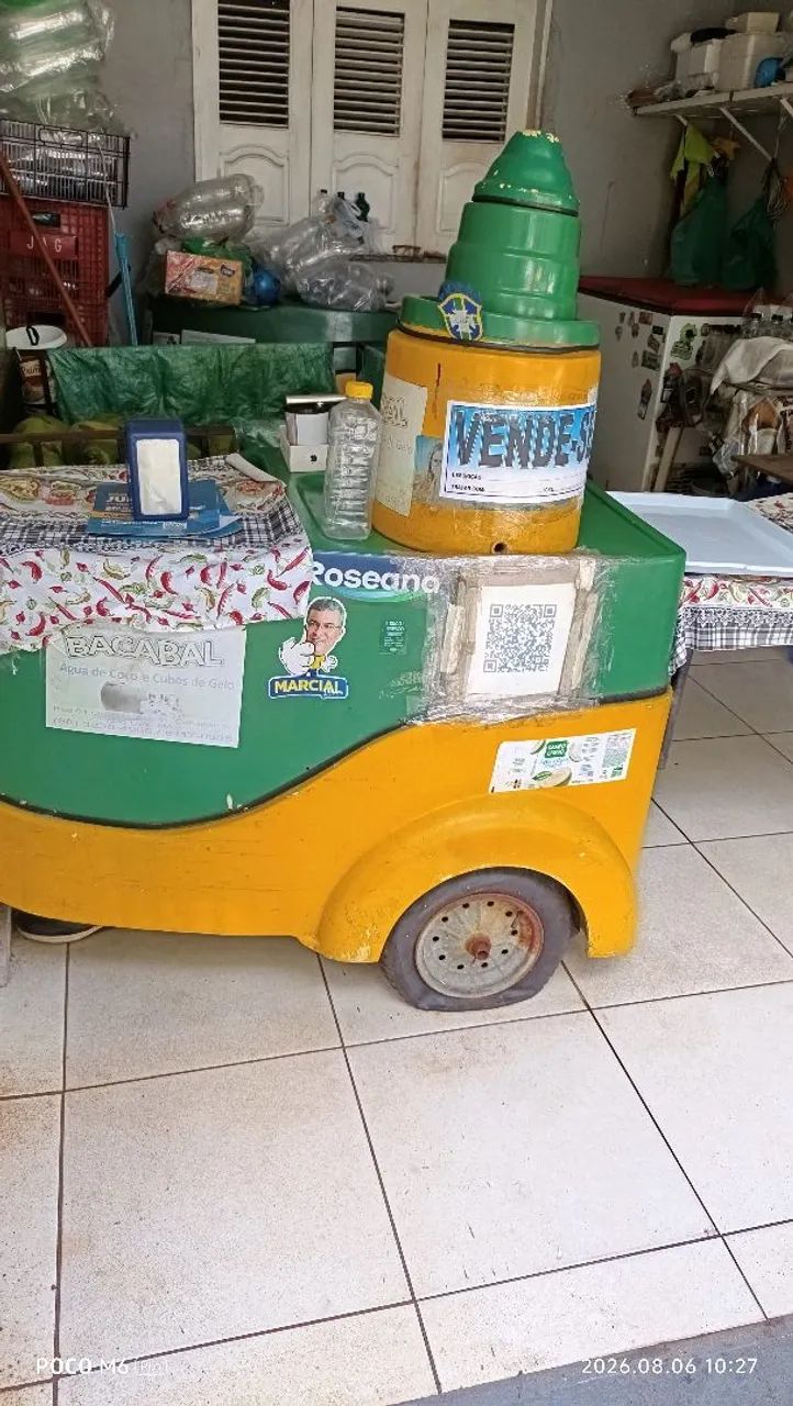 Cachorrinho de Água de Coco  - Foto 2