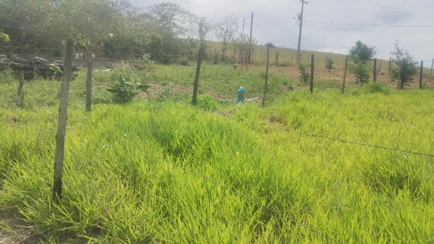 Morro Alto - terreno - Foto 4