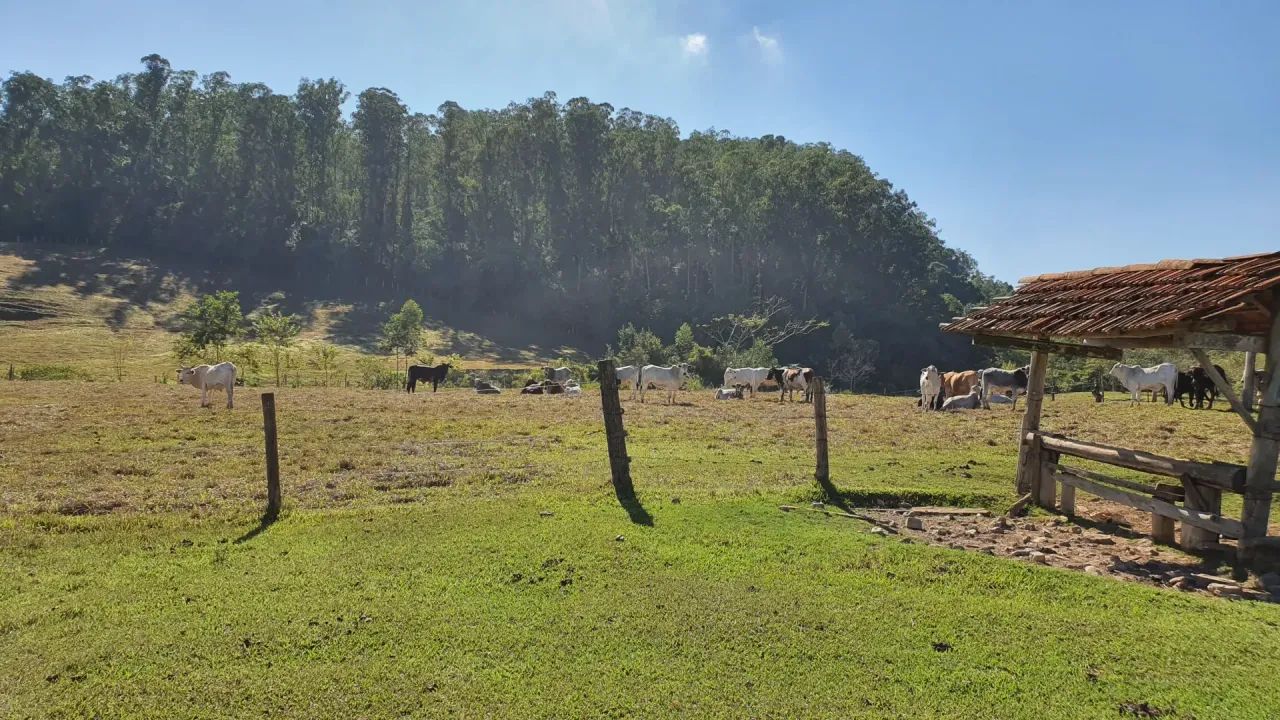 Sitio á venda em Piracicaba SP - Foto 4