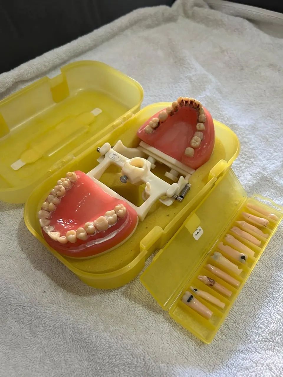 Manequim de dentistica  - Foto 3