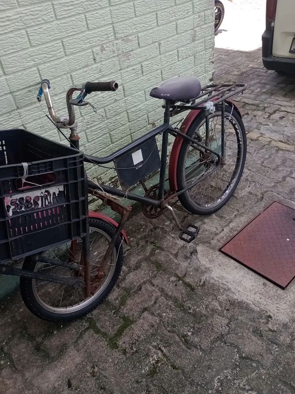 Bicicleta cargueira 