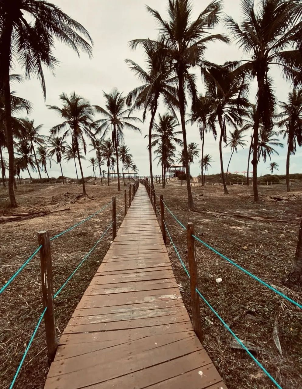 Padang  - Foto 2