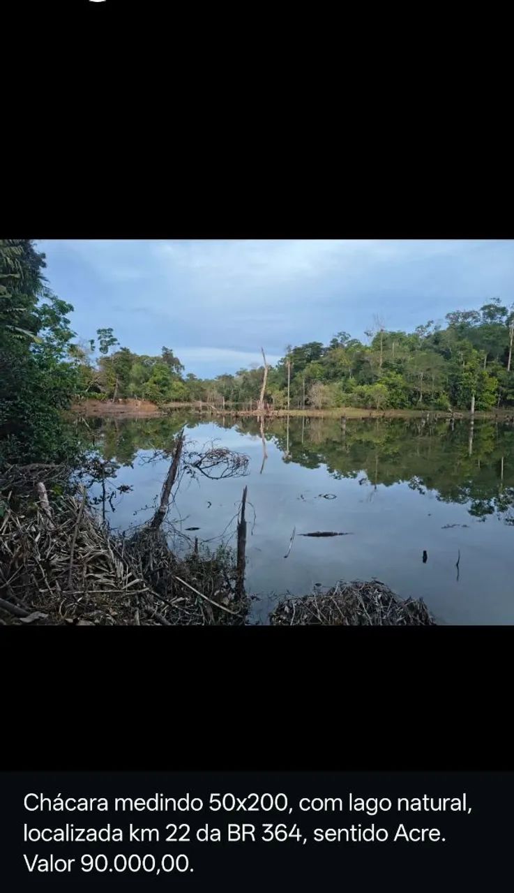 Chácara km 22/Sentido Jaci Paraná  - Foto 4