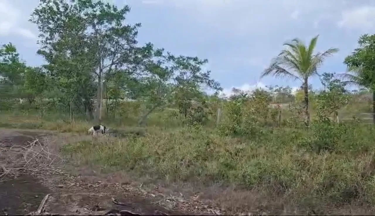 Igarapé com água gelada  - Foto 3