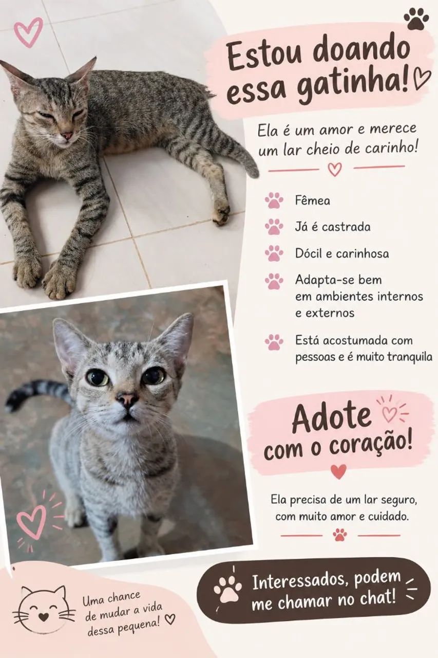 Doação dessa gatinha