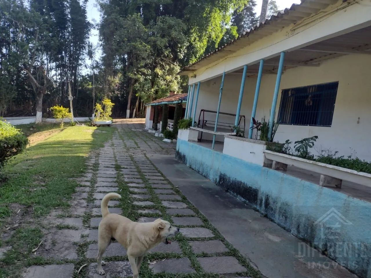 Chacara, Núcleo Dr. Carlos de Campos - Mauá - Foto 3