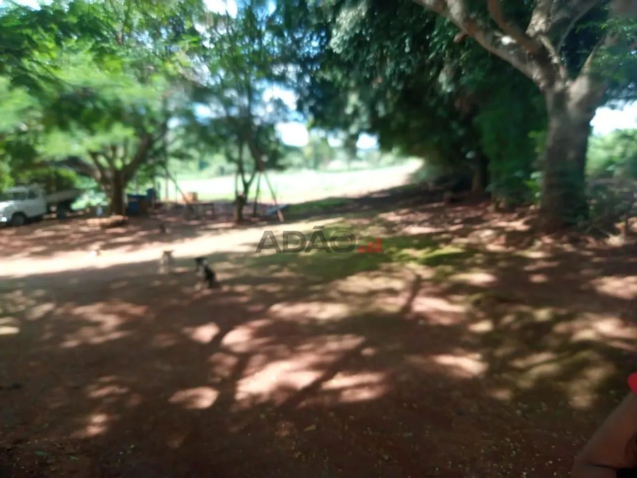 Chacara INCRIVEL 25km de Goiania - Foto 4