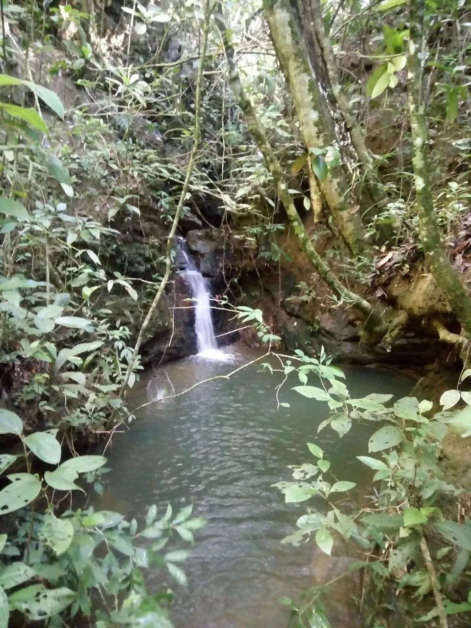 Chácara no Corumbá 3 - Foto 5