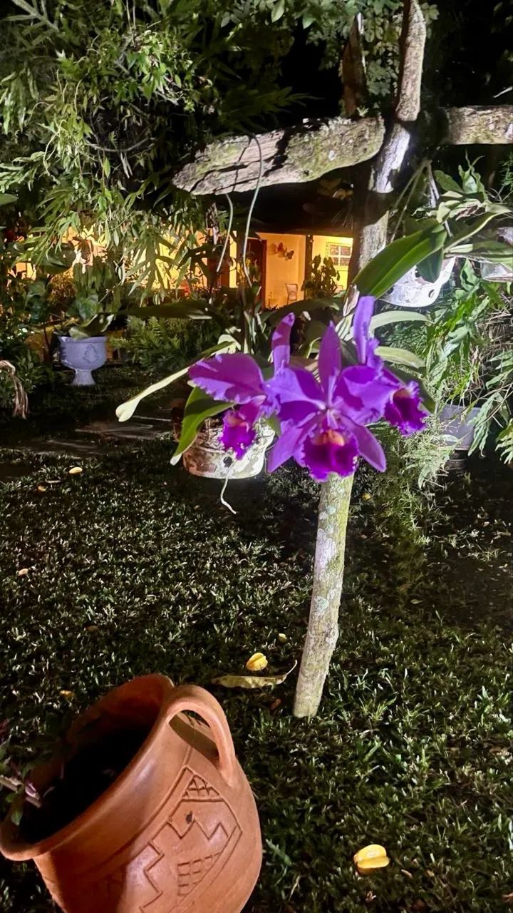 Guaramiranga - Recanto Oliveira Lima - Foto 9