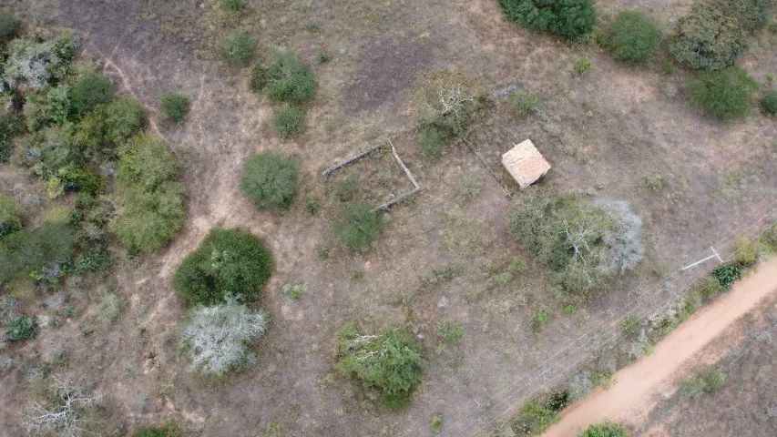 FAZENDA 1.200 TAREFAS - Foto 2