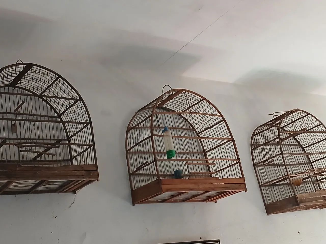 Gaiolas - Foto 2