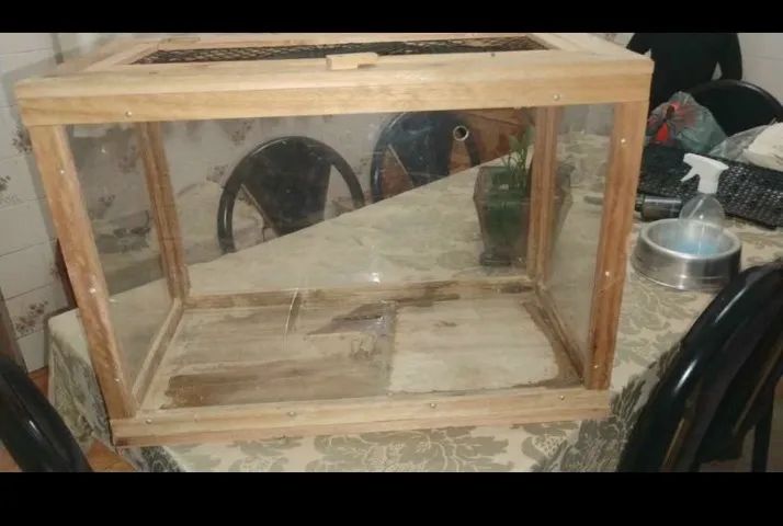 Terrário para hamster 