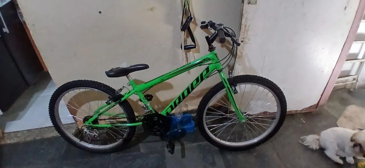 Bicicleta