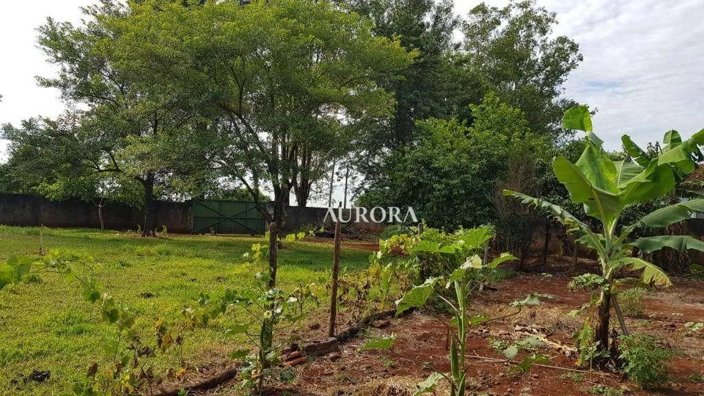 Terreno à venda, 5000 m² por R$ 1.200.000,00 - Conjunto Cafezal 1 - Londrina/PR - Foto 3