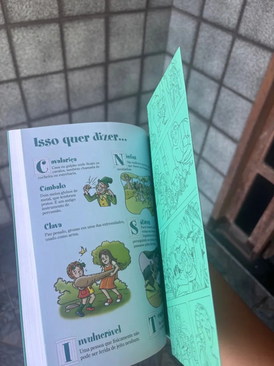 Livro - Foto 3