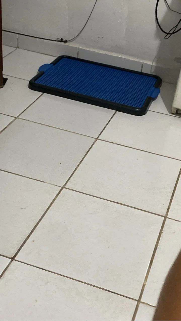 Tapete higiênico 