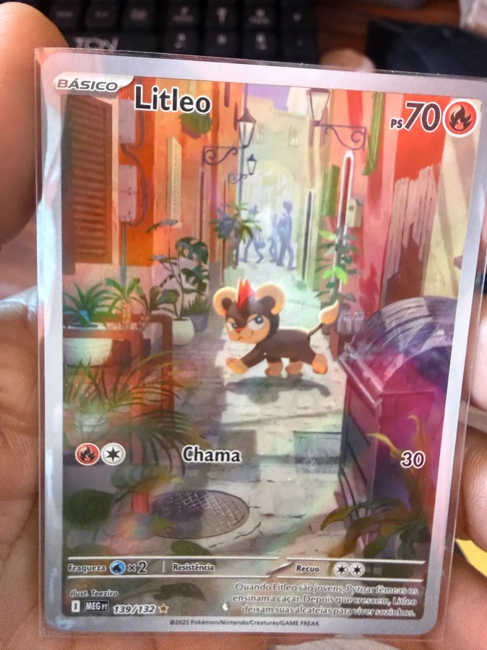 Litleo 